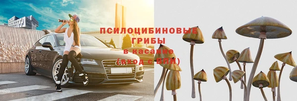 мяу мяу мука Бородино