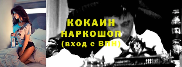 мяу мяу мука Бородино
