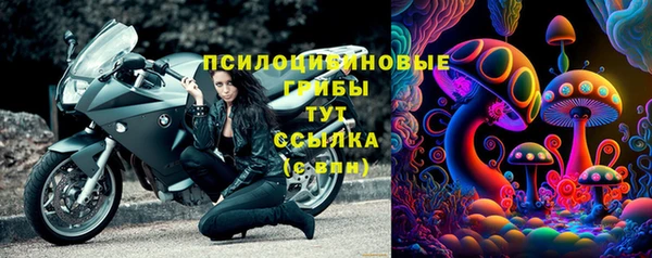 дурь Бронницы