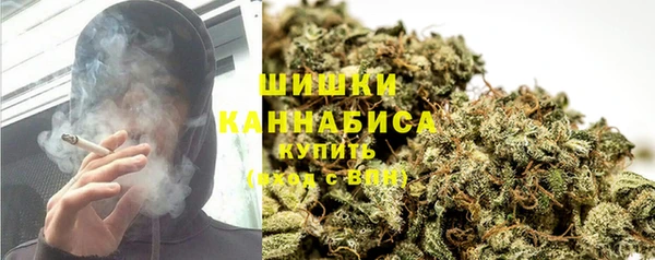 мяу мяу мука Бородино