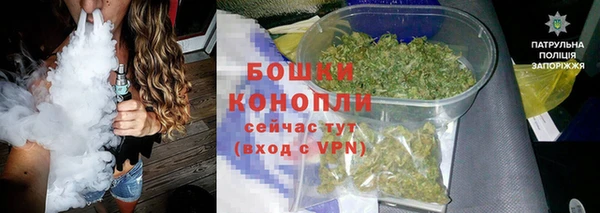 дурь Бронницы