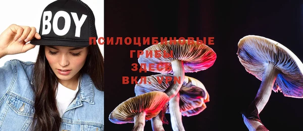 винт Бугульма