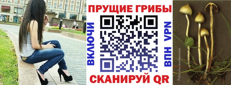 Галлюциногенные грибы Magic Shrooms Яблоновский